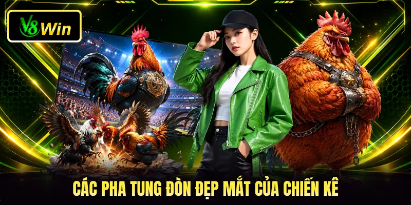Các pha tung đòn đẹp mắt của chiến kê