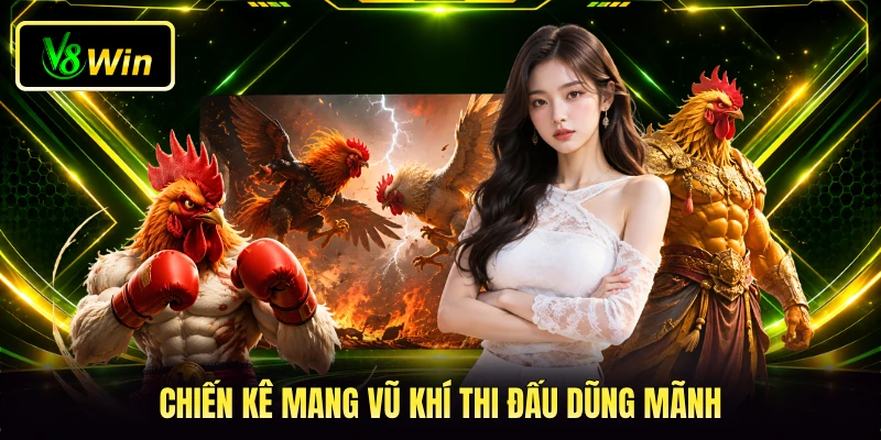 Chiến kê mang vũ khí thi đấu dũng mãnh