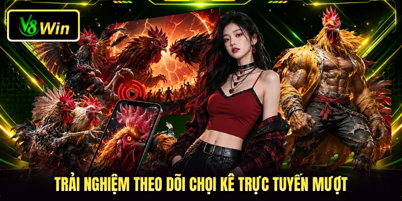 Trải nghiệm theo dõi chọi kê trực tuyến mượt